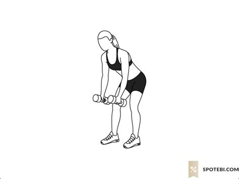 Dumbbell Bent Over Row Illustrated Exercise Guide Back Exercises Back Workout Women Upper