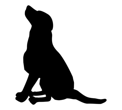 146 Labrador Vector Images At