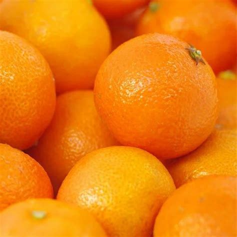 Fresh Oranges At Rs 16kilogram Fresh Fruits In Jaipur Id 14793651355