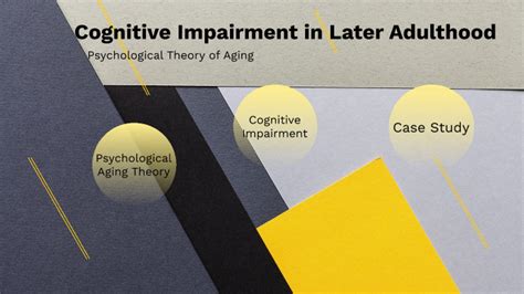 Adulthood Cognitive Impairment Aging Theory By Megan Custer