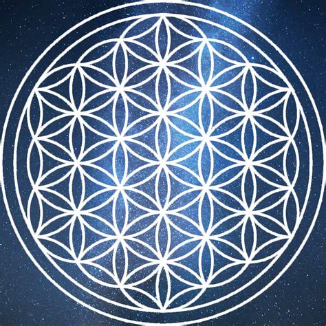 The Flower Of Life An Introduction To Sacred Geometry The Daily Dish