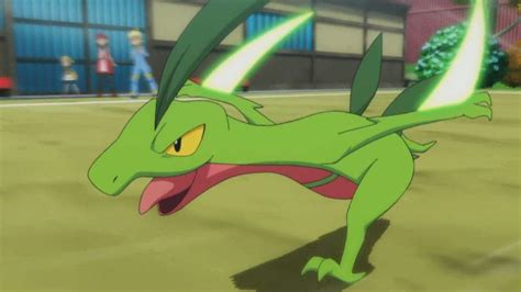 23 Fun And Interesting Facts About Grovyle From Pokemon Tons Of Facts