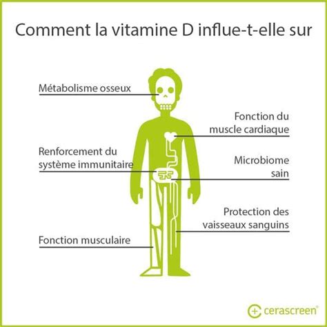La Vitamine D Bienfaits Carence And Conseils Cerascreen