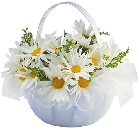 Basket With Daisies Transparent Clipart Gallery Yopriceville High