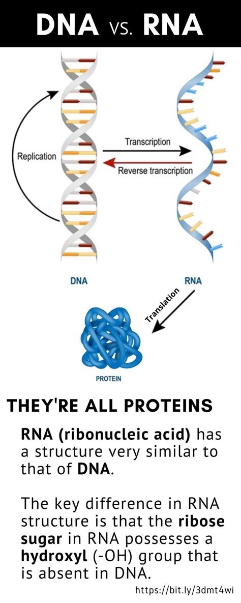 After delivery, a person's cells act. COVID-19 mRNA vaccine: Will it save the world? Here's what ...