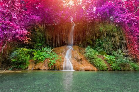 Beautiful Waterfall In Rainforest High Quality Nature Stock Photos