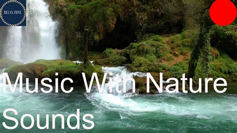 Wonderful Music With Nature Sounds Relaxing Music Rivers And Birds Sounds Youtube