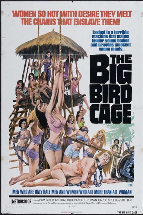 The Big Bird Cage VoyeurPapa