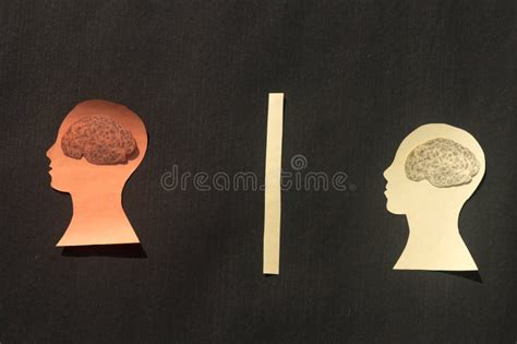 Two Separate People Human Brain Isolated Within Human Head Paper