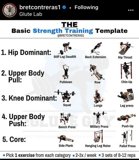 has anyone done brets basic strength training template strongcurves strength training