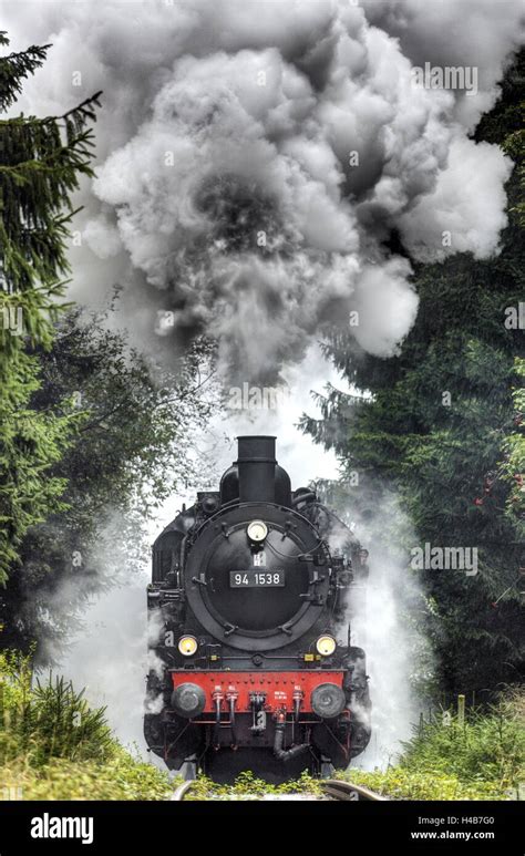 Train Driving Through Forest Steam Engine Smoking Heavily Stock Photo