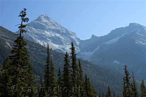 Vanaf De Glacier Crest Trail Een Mooi Uitzicht Op Mount Sir Donald In