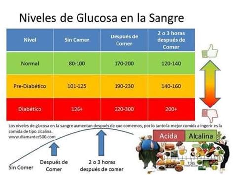 Niveles De Glucosa En La Sangre Niveles De Glucosa En La Sangre Salud Y Nutricion Diabetes