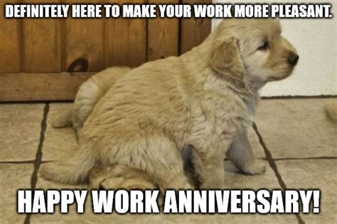 46 Grumpy Cat Approved Work Anniversary Memes Quotes And S