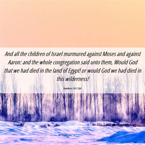 Numbers 142 Kjv And All The Children Of Israel Murmured Against