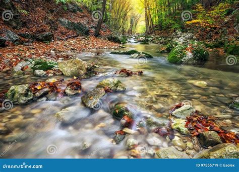 Autumn Creek Woods With Yellow Trees Foliage And Rocks In Forest Stock