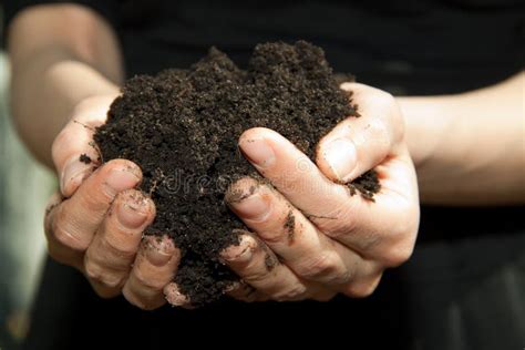 Hands With Soil Stock Photo Image Of Handful Hands 32021150