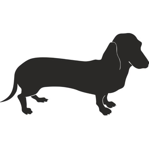 Dachshund Png