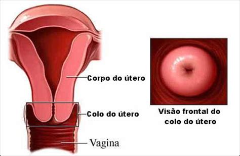 colo do utero fechado na gravidez