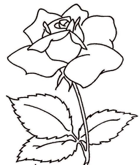 Hitam Putih Gambar Mewarna Bunga 30 Sketsa Bunga Mudah Untuk Kegiatan