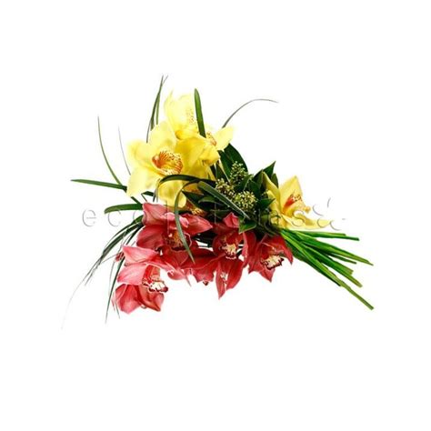 Cymbidium Orchid Bouquet Ecostems Toronto S Local Eco Friendly Florist Daily Flower Bouquet