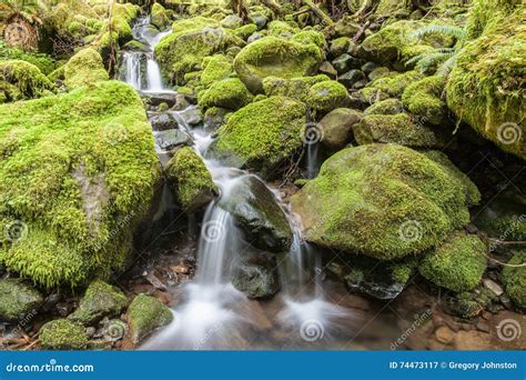 Cascades Through Moss Covered Rocks Stock Image Image Of National
