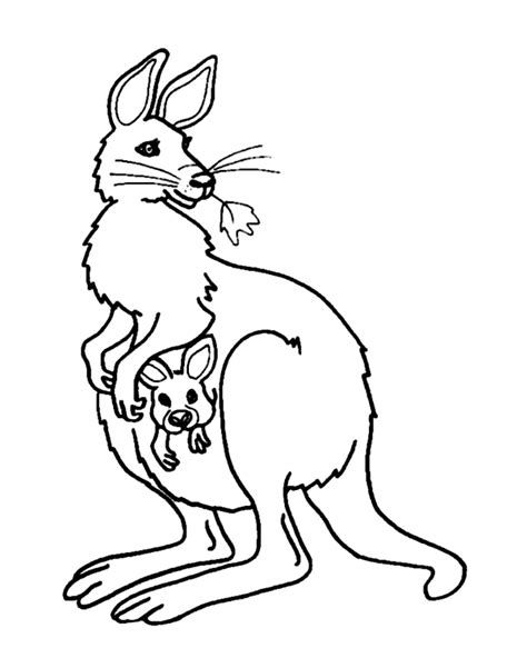 Kangaroos free to color for children - Kangaroos Kids Coloring Pages