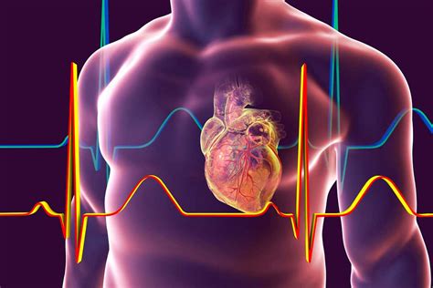 Diagnostic Maladies Du Coeur Centre Cardiologie Champel