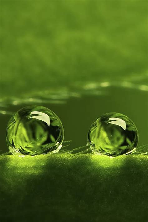 Water Drops Iphone 4s Wallpapers Free Download