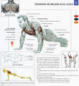 Bodybuilding Training Types