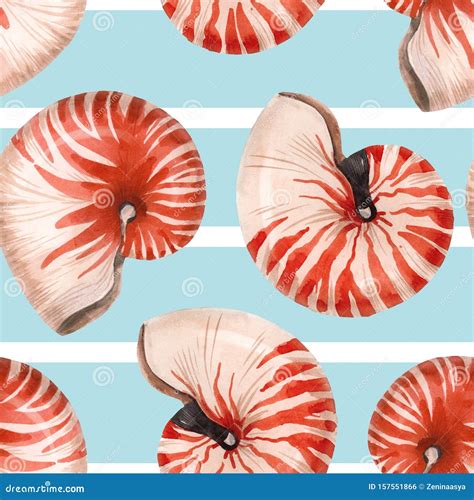 Watercolor Sea Life Nautilus Shell Pattern Stock Illustration