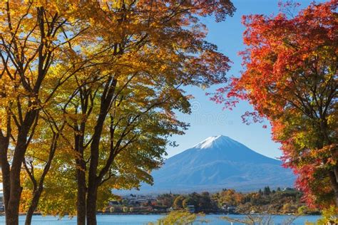 Mtfuji In Autumn Japan Stock Photo Image Of Landmark 134959050