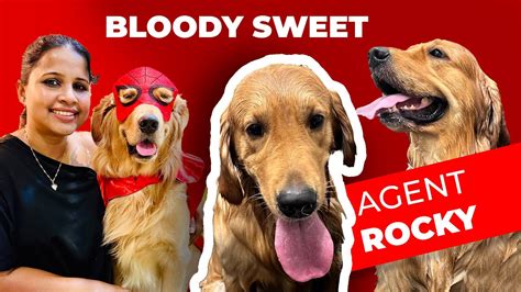 குளிச்சு 3 Months ஆச்சு🐕 Bloody Sweet Dog Grooming In Chennai Dog