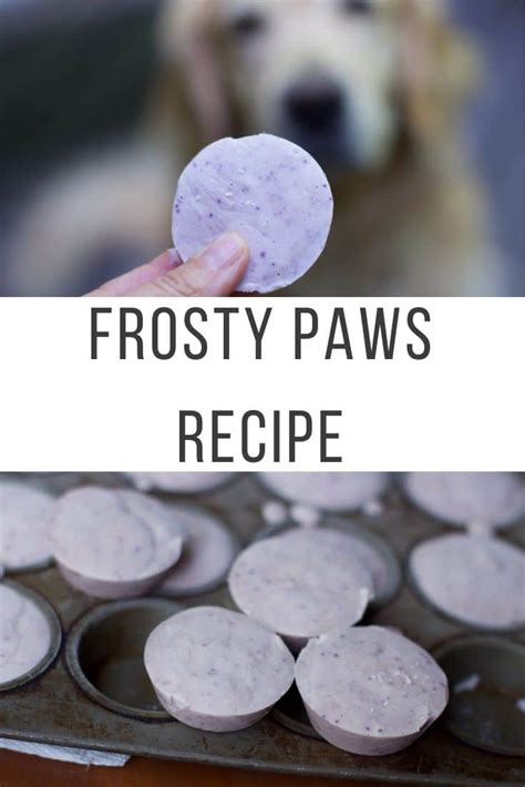 How To Make Homemade Frosty Paws Recipe Frozen Dog Treats