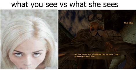 what you see vs what she sees : NewVegasMemes
