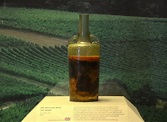 Vinho mais velho do mundo tem 1.700 anos e ainda pode ser consumido ...