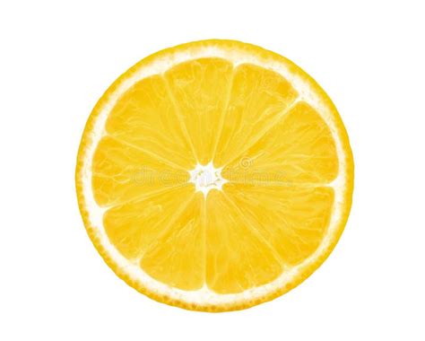 Half Cut Of Lemon Fruit Isolated On White Stock Photo Image Of Lime