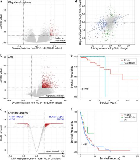 Non R132h Idh12 Mutations Are Associated With Higher Dna Methylation