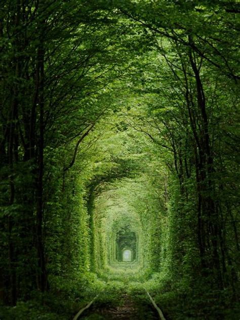 the adventourist cool travel mini postskleven s tunnel of love the adventourist cool