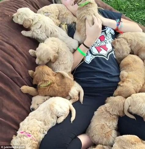 girl is covered in a pile of puppies as she snoozes daily mail online
