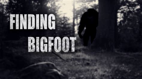 Finding Bigfoot Full Gameplay Walkthrough Part 1 No Commentary 1080p
