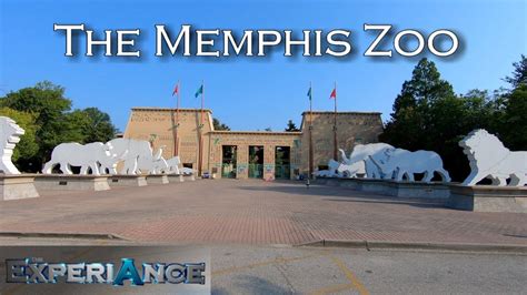 The Memphis Zoo The Experiance Youtube