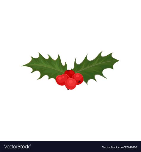 Christmas Holly With Red Berries And Green Leaves Vector Image