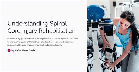 Understanding Spinal Cord Injury Rehabilitation