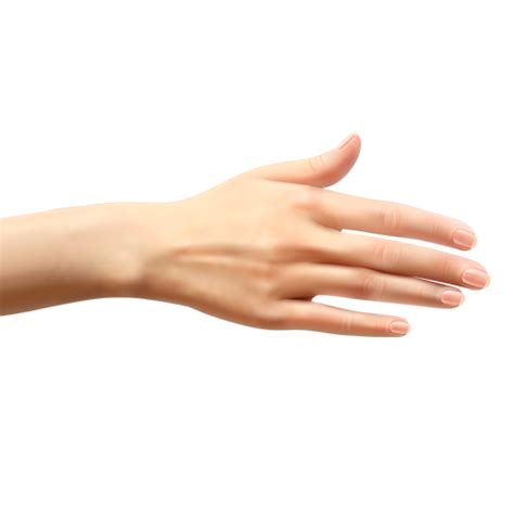 Human Hand Png Image Purepng Free Transparent Cc0 Png Image Library