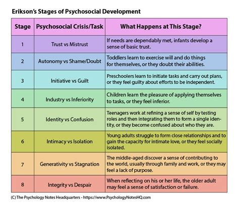A Table With Three Different Stages Of Physical Development