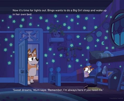 Bluey Sleepytime Book Review