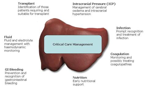 Acute Liver Failure Rcemlearning