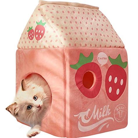Novelty Cat Beds Fun And Functional Beds For Kitty
