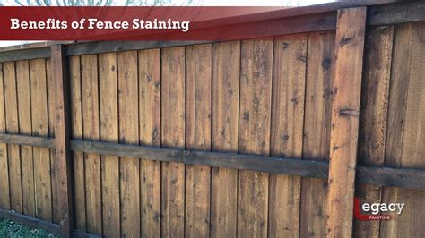 Best Way To Stain Fence How To Stain A Fence Diy Painting Tips